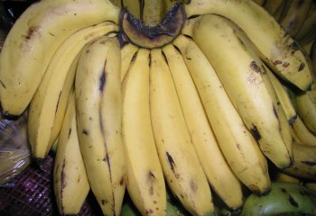 Banana Kampala type ripe in Nairobi market, Kenya Ⓒ Adeka et al., 2005.