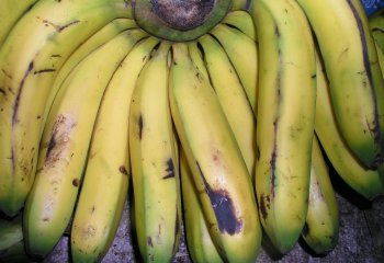 Banana nyoro in Nairobi market, Kenya Ⓒ Adeka et al., 2005
