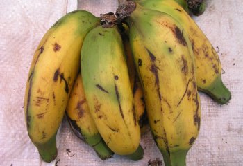 Banana-Mutavato in Nairobi market, Kenya Ⓒ Adeka et al., 2005.