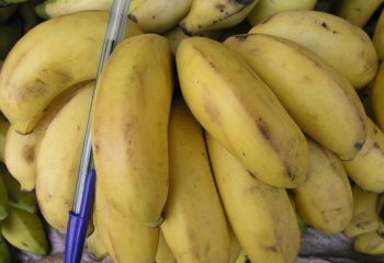 Sweet banana Nairobi market, Kenya Ⓒ Adeka et al., 2005