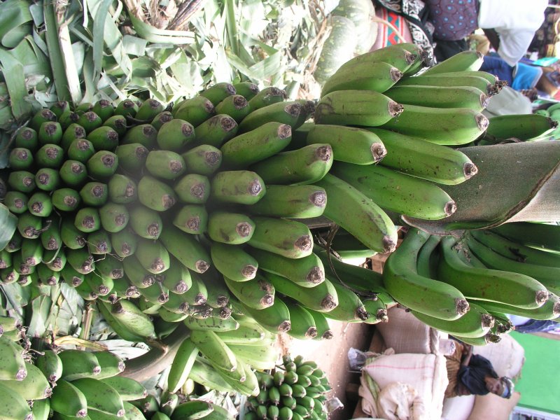 Banana - golden for ripening  in Nairobi market, Kenya Ⓒ Maryam imbumi, 2005