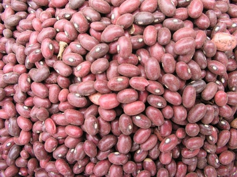 Beans-Wairimu (royal), Kenya. Ⓒ Adeka et al., 2005