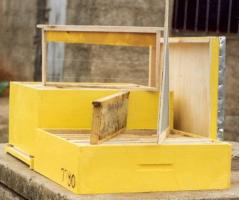 Langstroth hive with frame