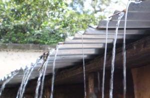 Don't waste rainwater falling on the roof