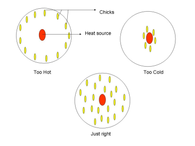 booding - temperature