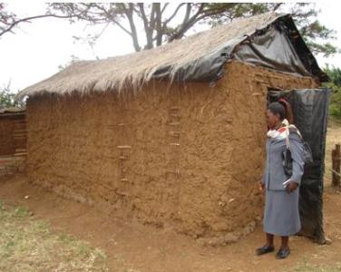 A grass thatched mud mushroom house