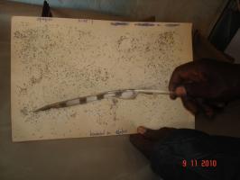 Brushing of Silkworm Larvae