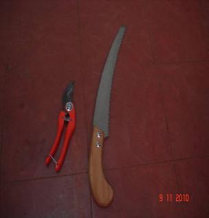 Secateurs and Pruning Saw