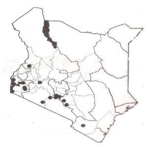 Distribution of Acacia mearnsii in Kenya