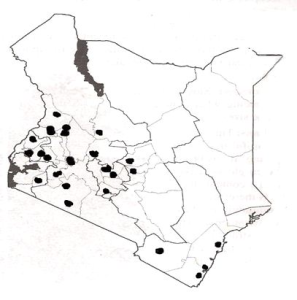 Distribution of Calliandra calothyrsus in Kenya