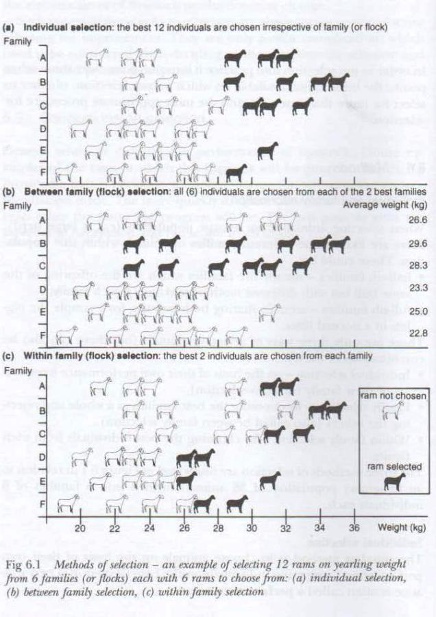 Methods of selection