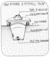 Pitfall traps