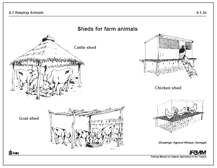 Organic animal husbandry: Breeding, housing and feeding (IFOAM Norms) |  Infonet Biovision Home.