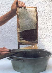 Uncapping honey from a frame comb