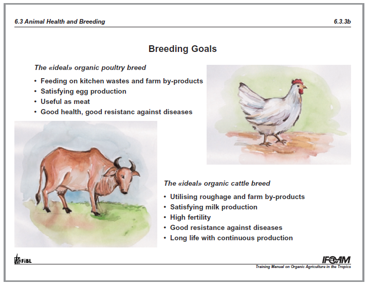 Organic animal husbandry: Breeding, housing and feeding (IFOAM Norms) |  Infonet Biovision Home.