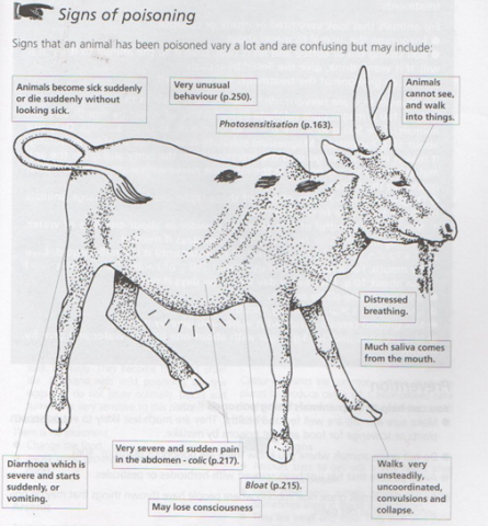 Signs of poisoning in animals