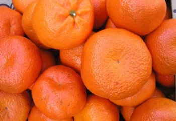 Mandarin from South Africa in Nairobi Market, Maundu 2005