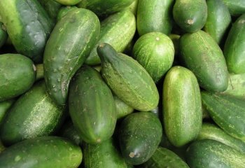 Short cucumber in Nairobi market, Kenya. Ⓒ Foods of the Nairobi people, 2005