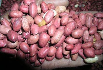 ‘Ndogo nyekundu’ Groundnuts type in Meru, Kenya Ⓒ Foods of the Nairobi people, 2005
