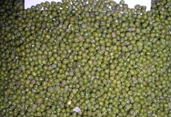 Green gram – ‘Nylon’ type in a Nairobi market. Ⓒ Foods of Nairobi people, 2005