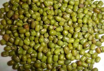 Green gram seeds Ⓒ Courtesy EcoPort, Pankaj Oudhia