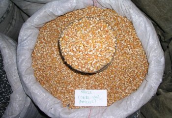 Maize -Popcorn maize in Nairobi market, Kenya Ⓒ P Maundu, 2005