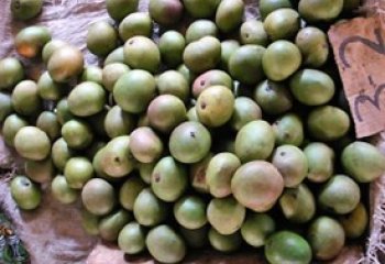Mango -Kitui or Kagege type from Gatundu, Kenya Ⓒ Foods of Nairobi people, 2005