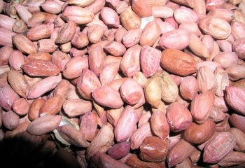 Nyeupe kubwa goundnut type from Tanzania. Ⓒ Foods of the Nairobi people, 2005