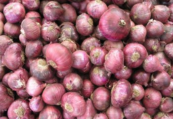 Red onion in Nairobi Market, Kenya. Ⓒ Adeka et al., 2005