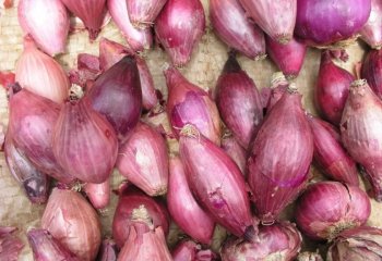 Shallots (Allium cepa, Aggregatum Group) in a Nairobi market. Ⓒ Maundu, 2005