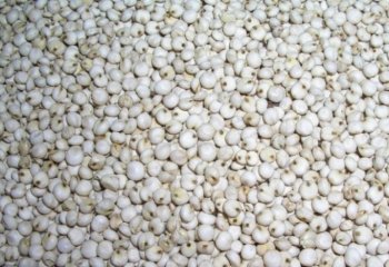 Sorghum-white type in Nairobi market, Kenya. Ⓒ Adeka et al., 2005