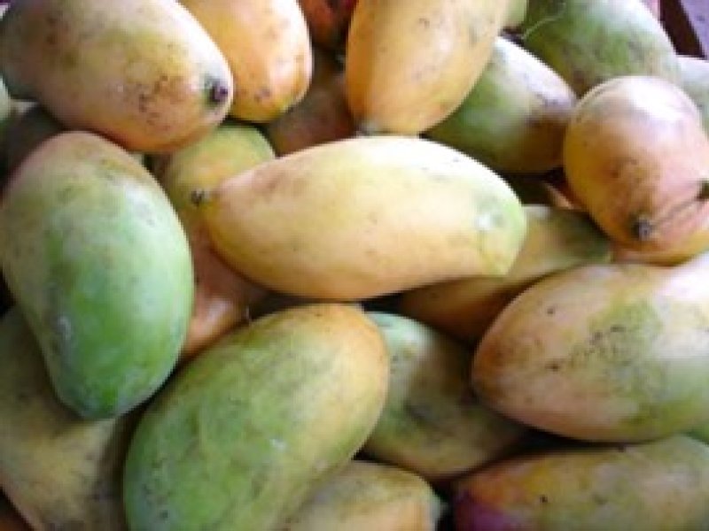 Ⓒ Foods of Nairobi people, 2005