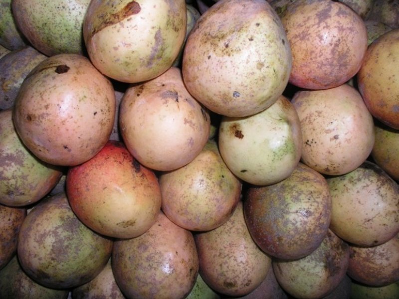 Ⓒ Foods of Nairobi people, 2005