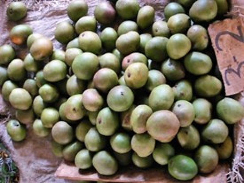 Ⓒ Foods of Nairobi people, 2005