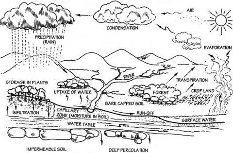 Water cycle and rain information | Infonet Biovision Home.