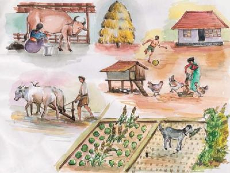 Animal husbandry and welfare | Infonet Biovision Home. Animal husbandry and welfare | Infonet Biovision Home.